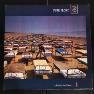 Pink Floyd -Lapse of Reason