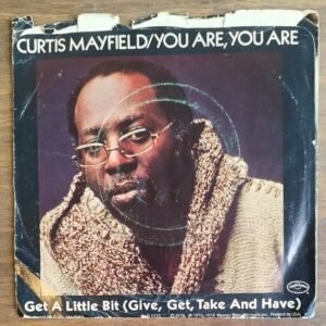 Curtis Mayfield - You Are,You Are