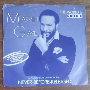 Marvin Gaye - The World is Rated x