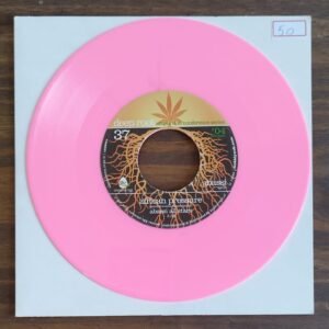 Abassi All Stars/Dub All Sense