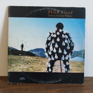 Pink Floyd - Delicate Sound of Thunder